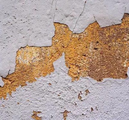 How to Choose the Best Company for Water Damage Restoration in Vancouver