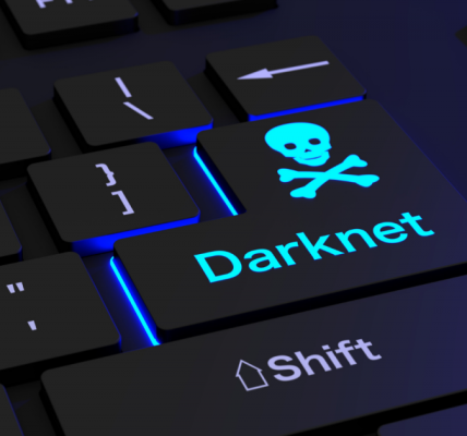 Inside the World of the Dark Net Army
