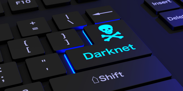 Inside the World of the Dark Net Army